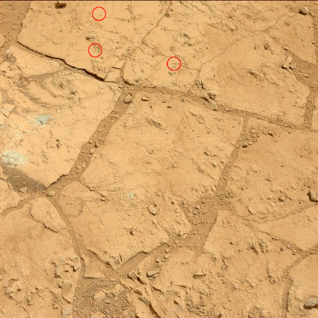 THE ANTS OF MARS: Curiosity Hoax File - Bullsh*t on Bullsh*t Pia16762-marked5